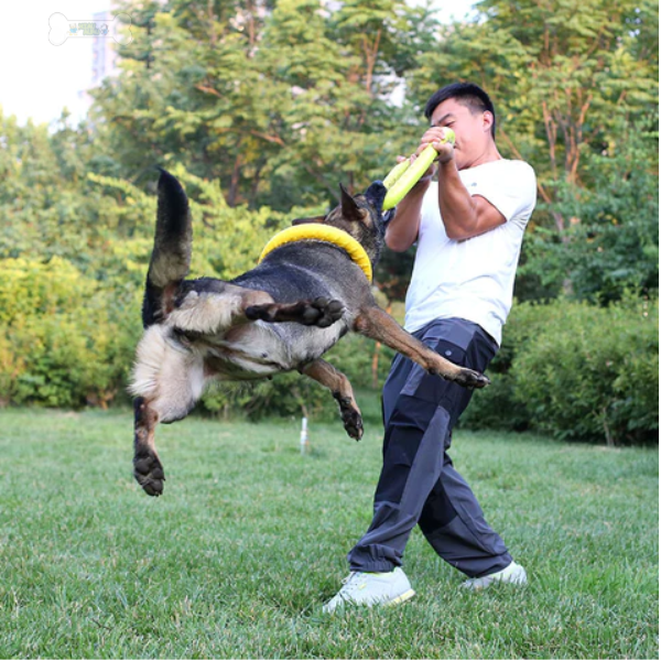 Hundtugg skivleksak