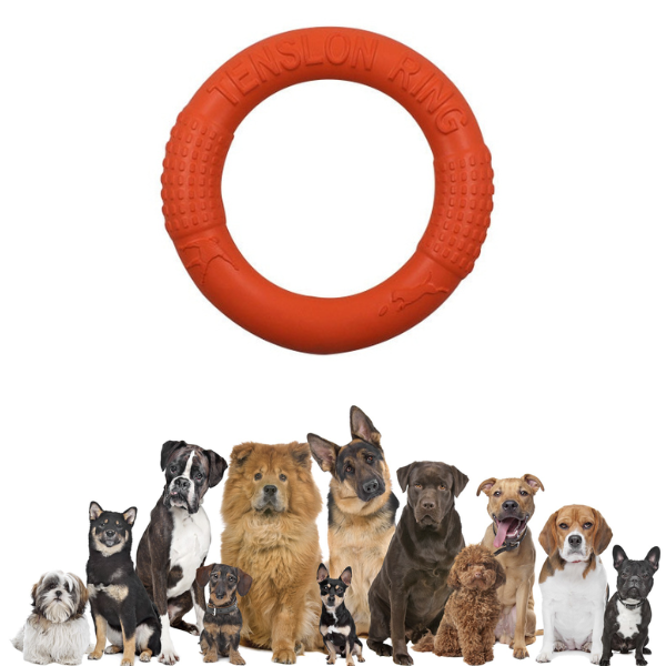Hundtugg skivleksak