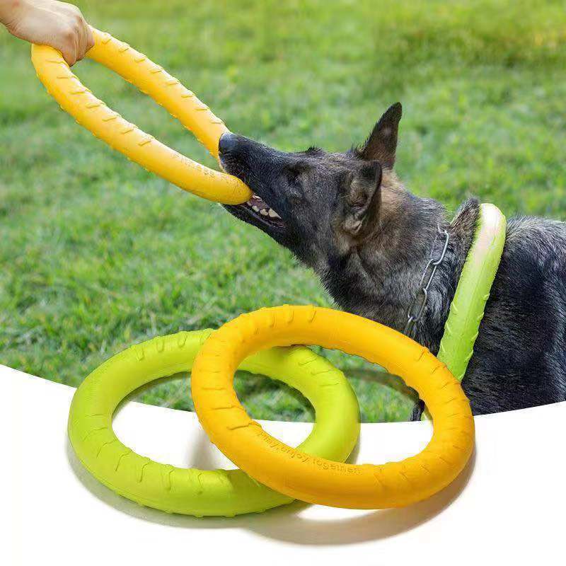 Hundtugg skivleksak