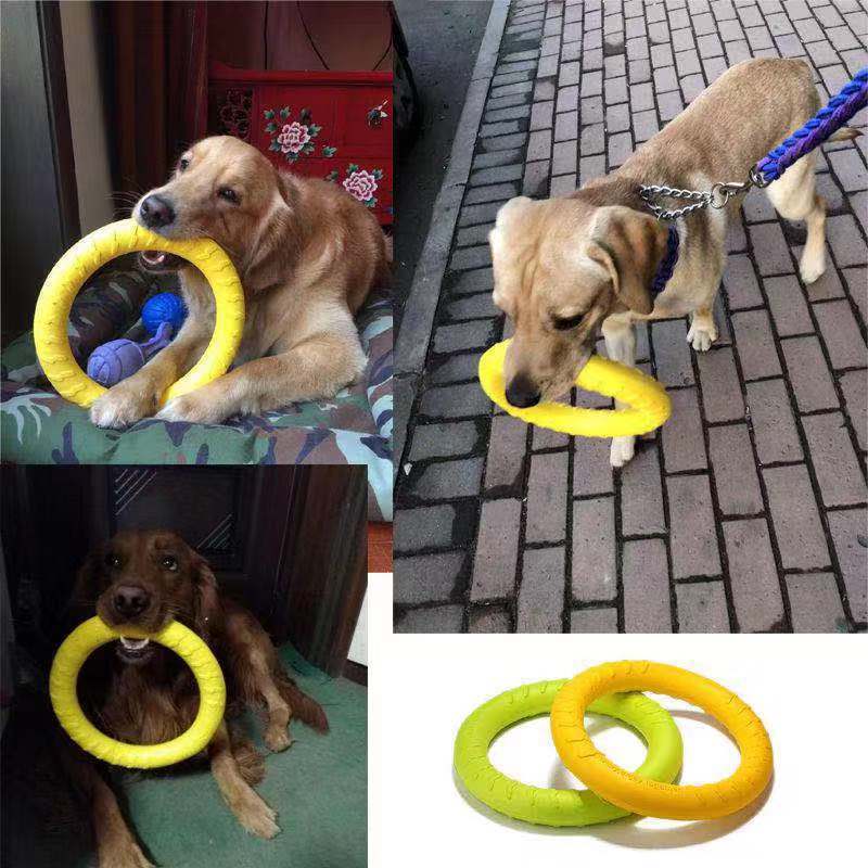 Hundtugg skivleksak